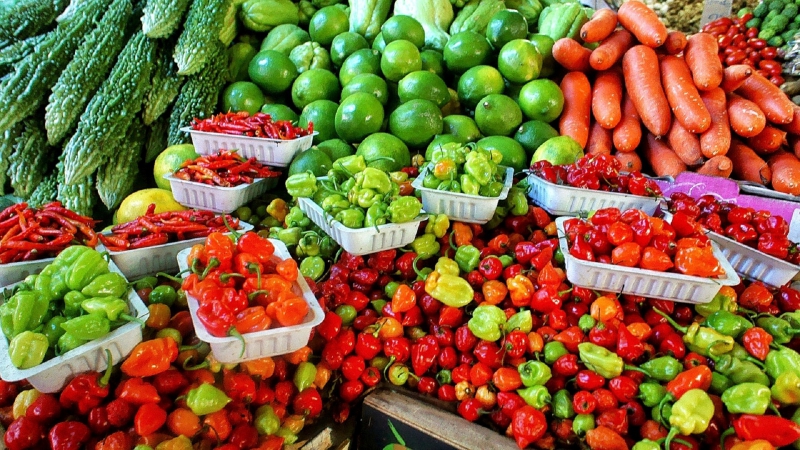 primeur-LA CROIX SUR ROUDOULE-min_farmers-market-1329008